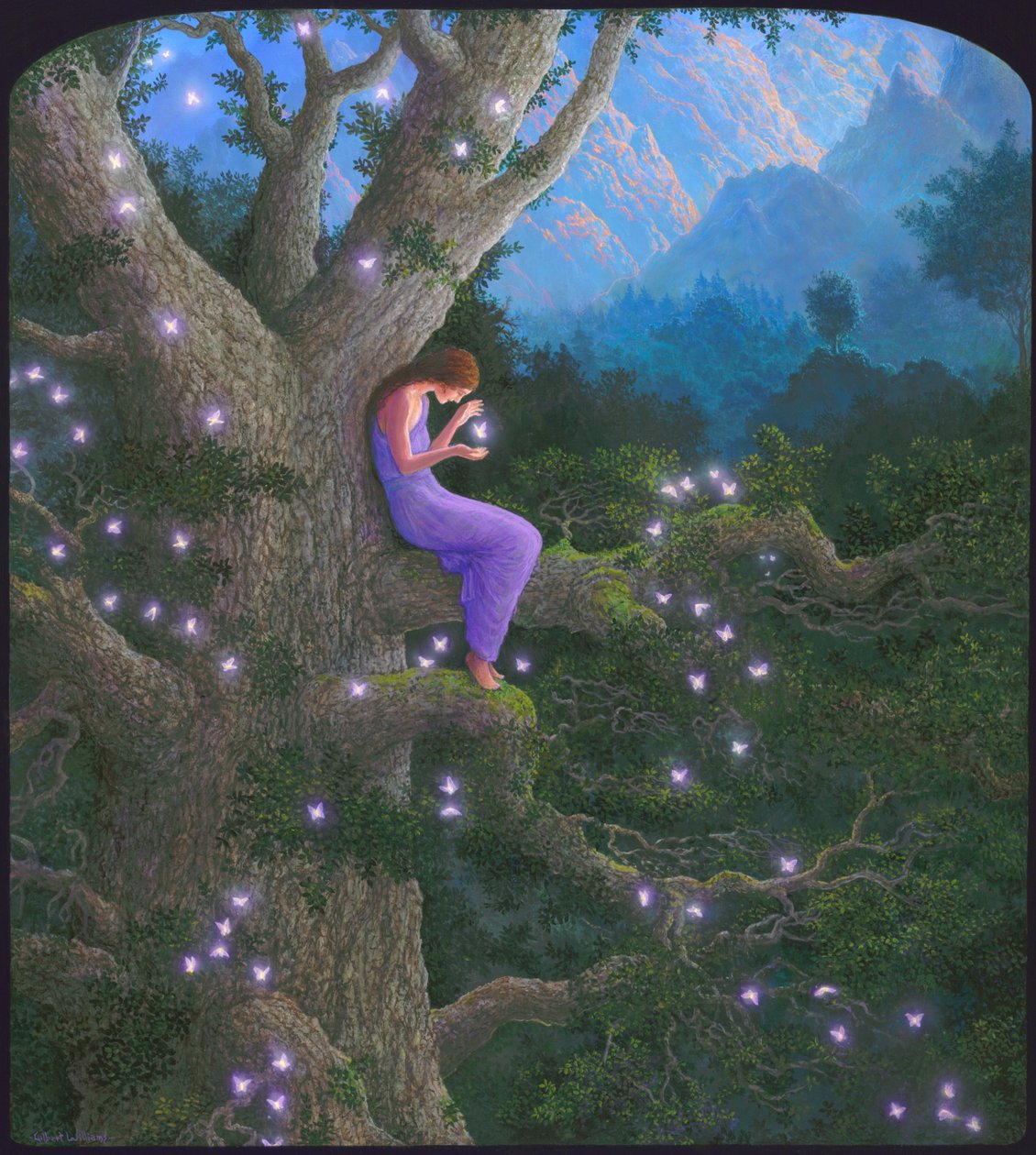  by Gilbert Williams