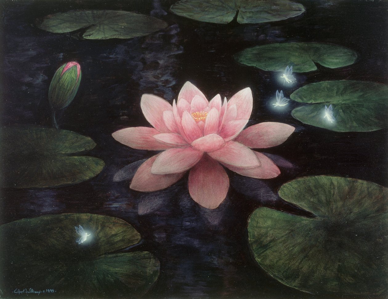  by Gilbert Williams