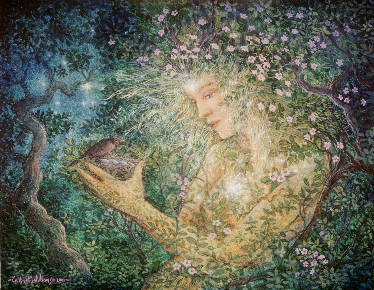  by Gilbert Williams