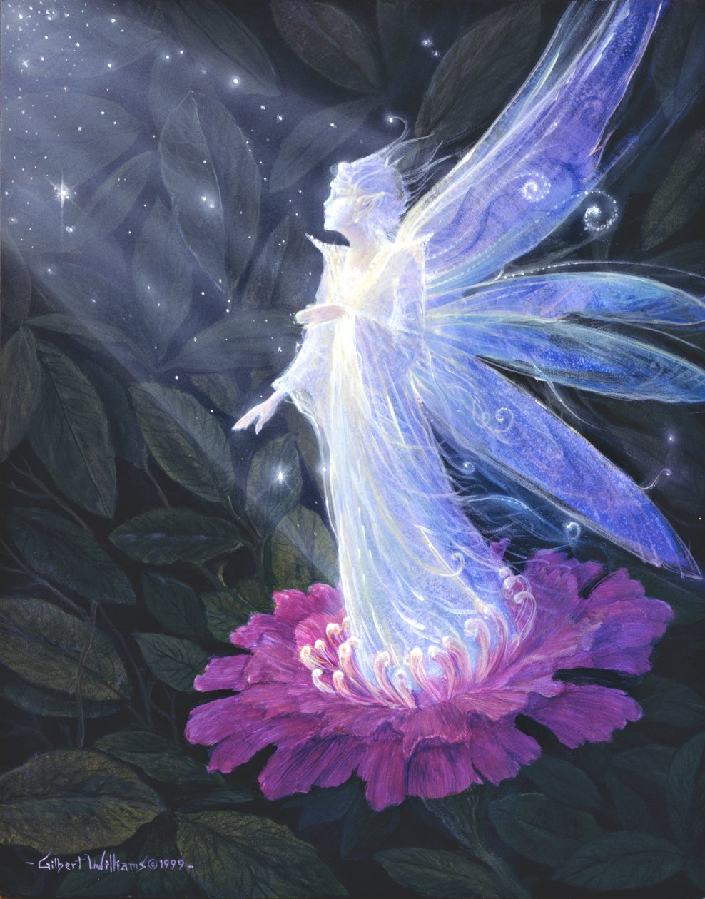  by Gilbert Williams