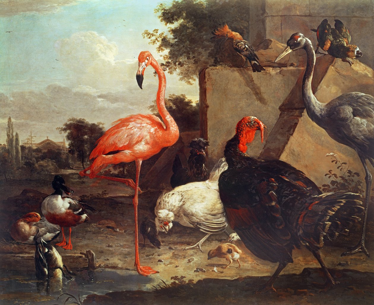 çeşitli kuşlar by Gillis Claesz d