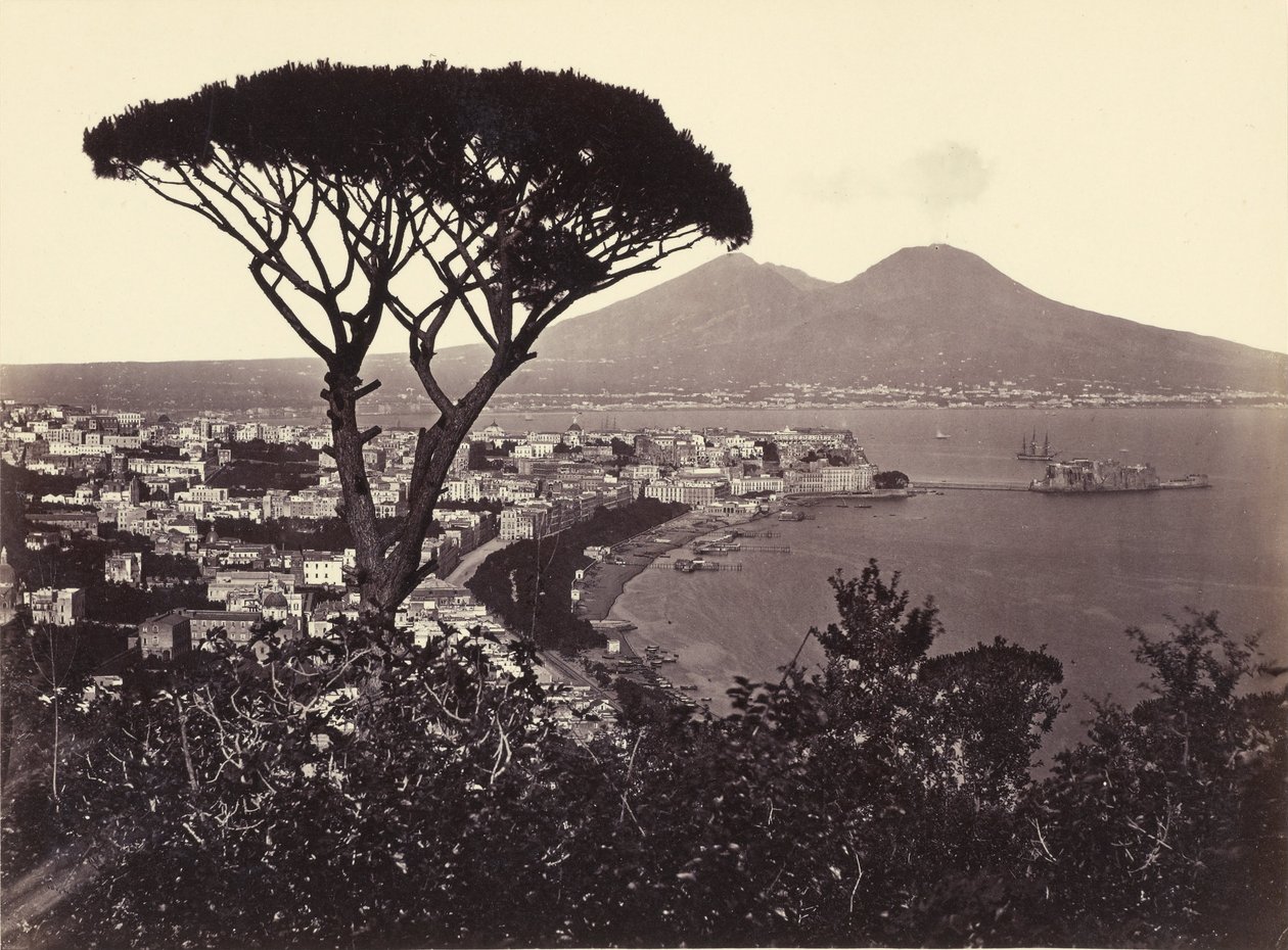 Çam Ağacı ile Vomero Panoraması by Giorgio Sommer