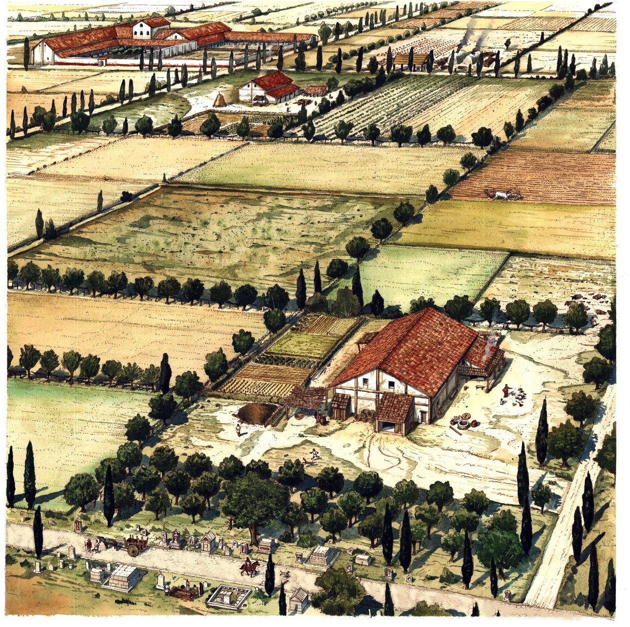  by Giorgio Albertini