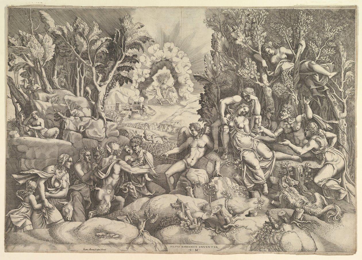 Procris