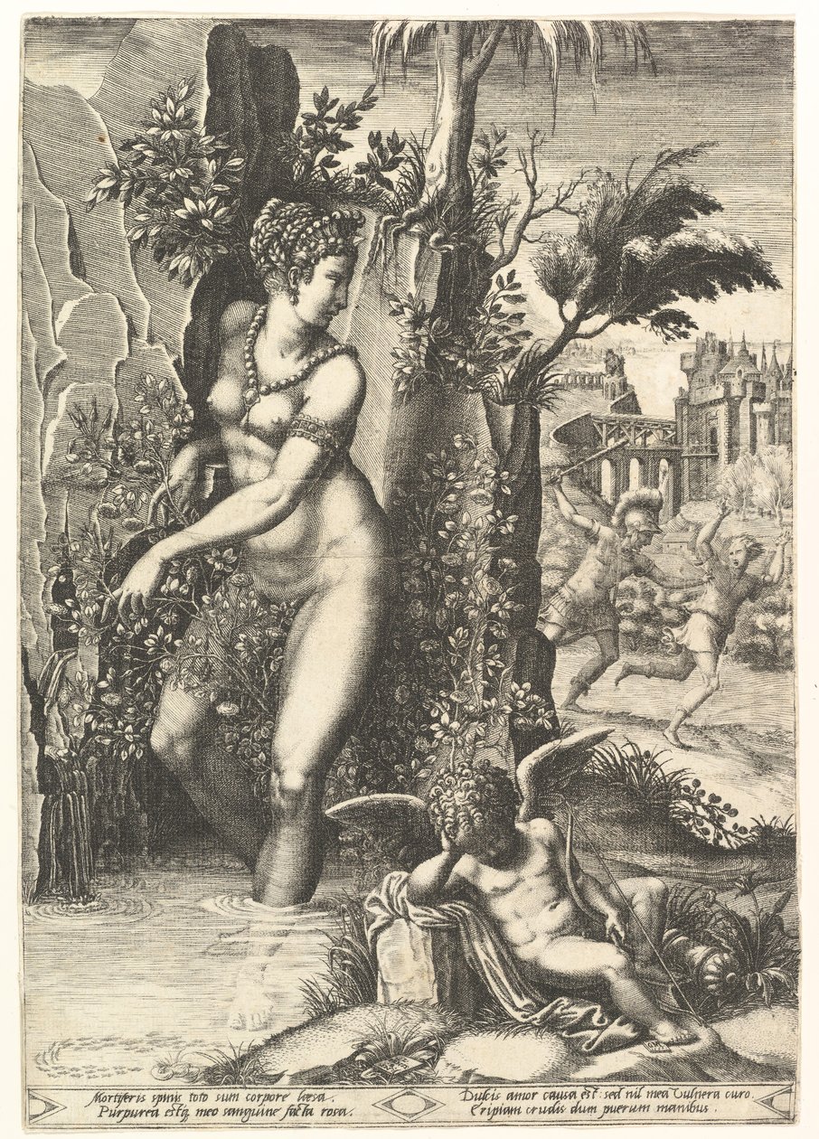 Arka planda Mars, Adonis