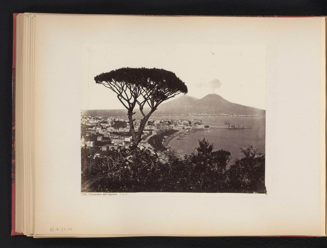 Ön planda bir çam ağacı ile Napoli, İtalya