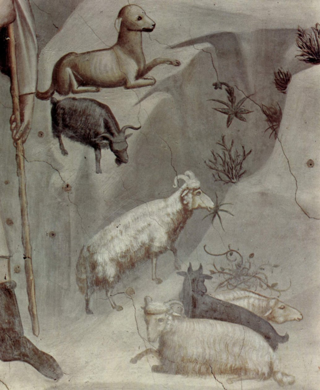  by Giotto