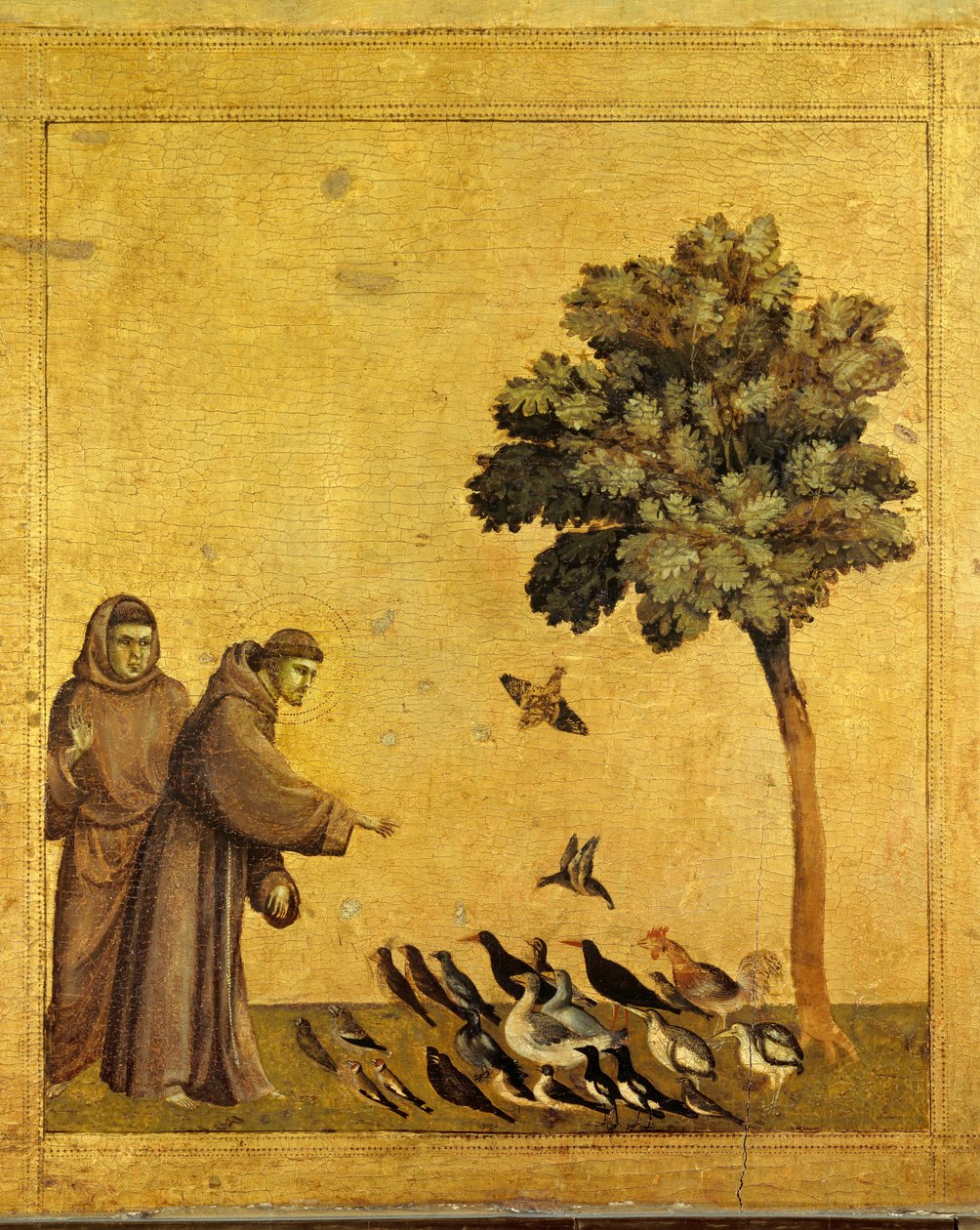 Assisili Aziz François kuşları vaaz ediyor. St Francis of Assisi