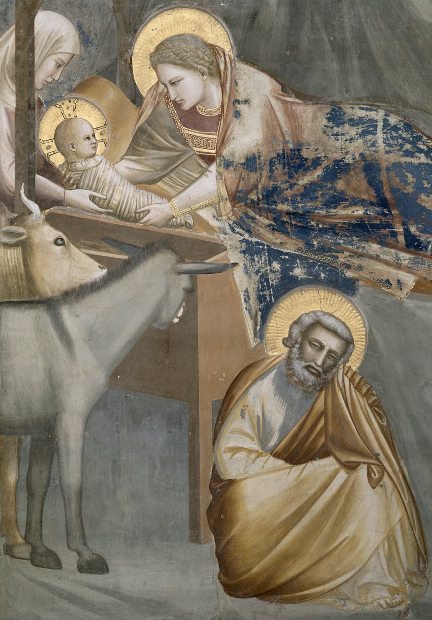 Doğuş, Bakire ve Çocuk, eşek ve Yusuf detayı, 1303-05 (restorasyon sonrası) by Giotto di Bondone