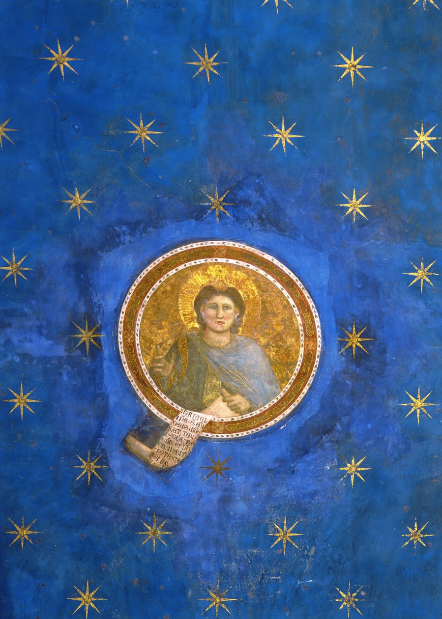 Daniel Peygamber, tavan tonozundan, c.1305 by Giotto di Bondone