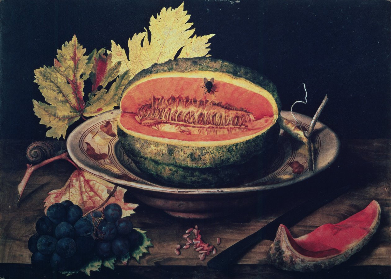 ಕಲ್ಲಂಗಡಿ ಟರ್ಕ್ ಒಂದು ಸ್ಲೈಸ್ by Giovanna Garzoni