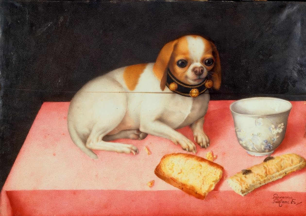Ekmek dilimleri ile köpek yavrusu by Giovanna Garzoni