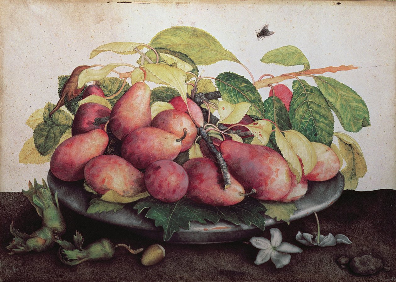 ಹಾಥಾರ್ನ್‌ಸ್ಟರ್ಕ್‌ನೊಂದಿಗೆ ಪೇರಳೆ by Giovanna Garzoni