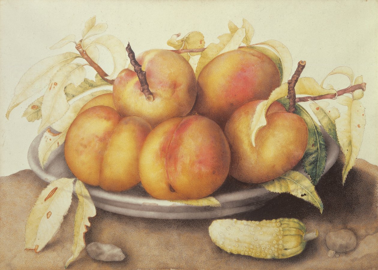 Turşu ile Şeftali Tabağı by Giovanna Garzoni
