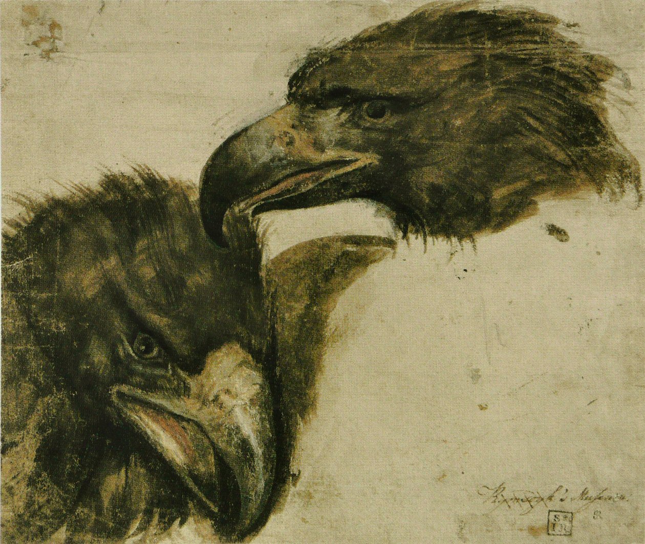 Eagle Head