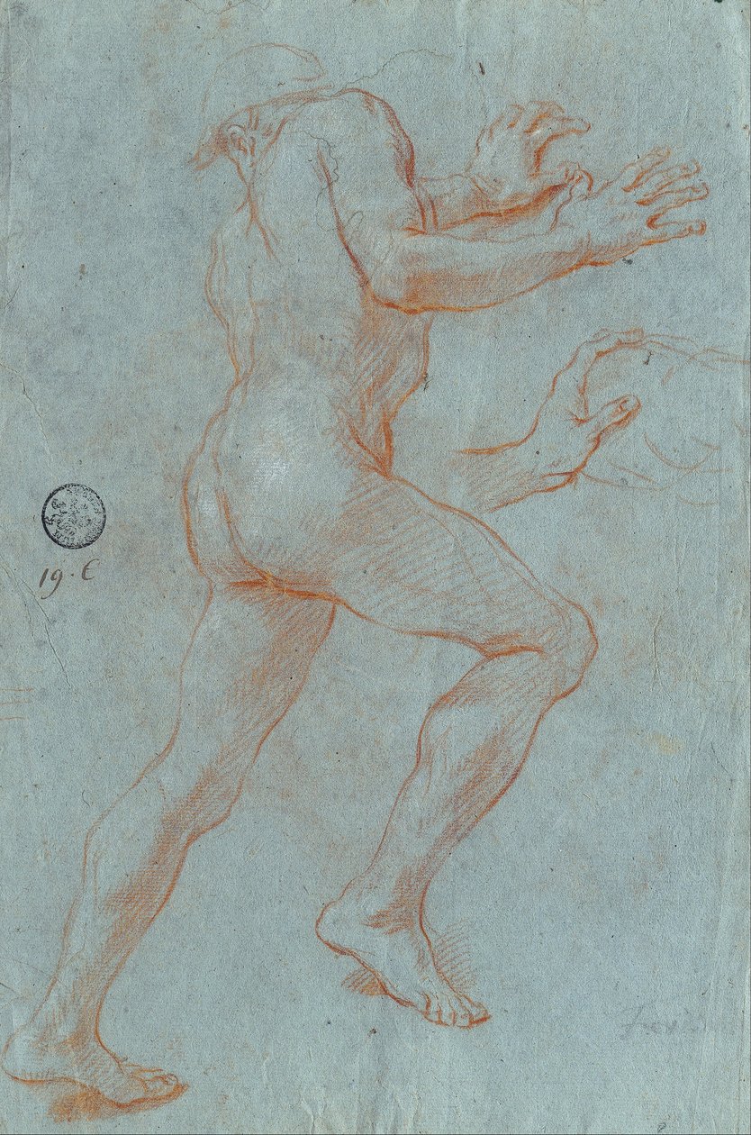 Çıplak Erkek Çalışması by Giovanni Antonio Grecolini