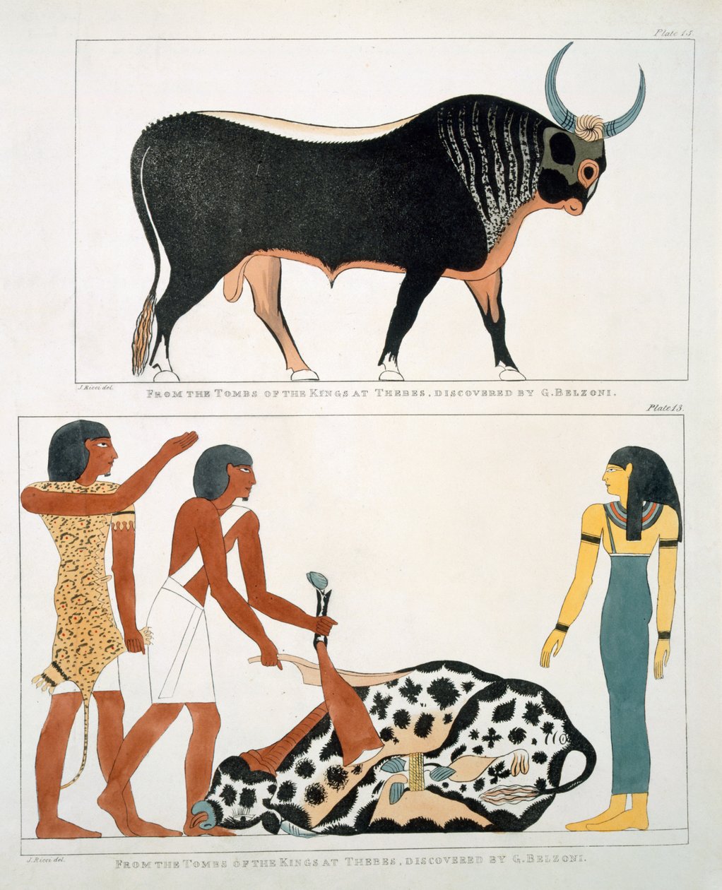 G. Belzoni tarafından keşfedilen Thebes Krallarının Mezarlarından Duvar Resmi, 