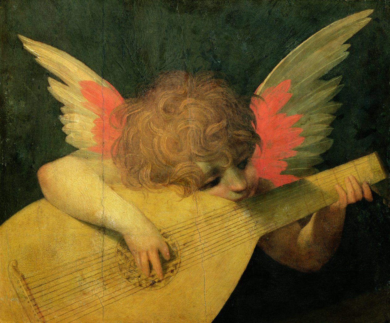 Angel Müzisyen, c.1520 (panelde tempera) by Giovanni Battista Rosso Fiorentino