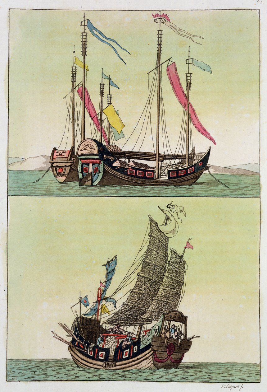 İki çeşit Çin Hurması, Giulio Ferrario