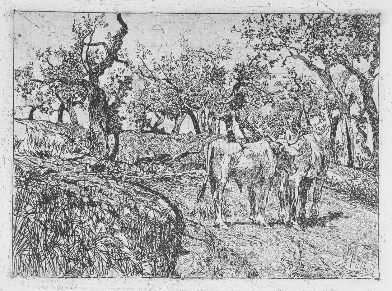 Zeytin Ağaçları Arasında Sığır by Giovanni Fattori