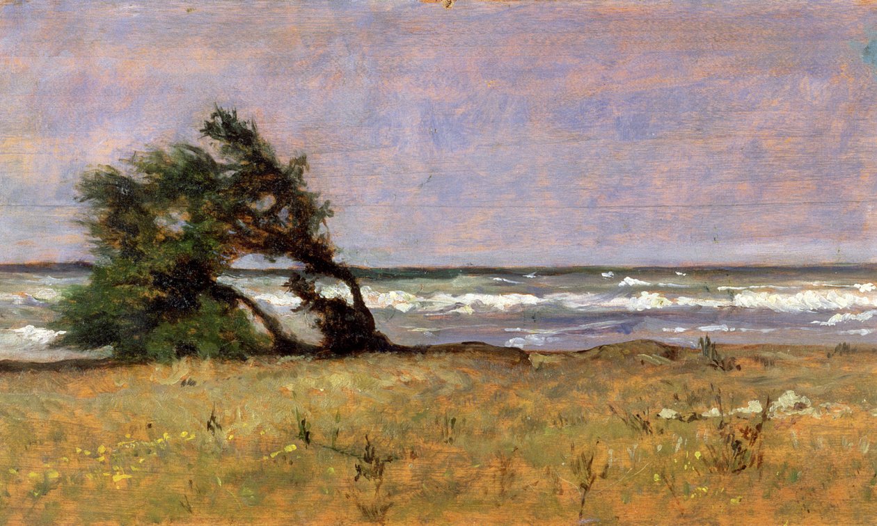 fırtına by Giovanni Fattori