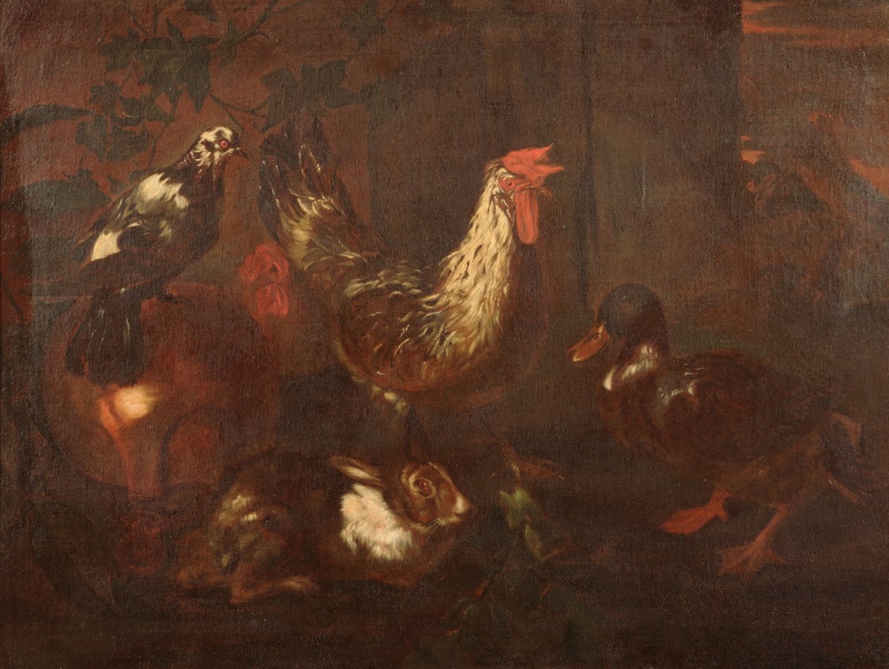 Kümes hayvanları ve tavşanlar by Giovanni Francesco Cassana