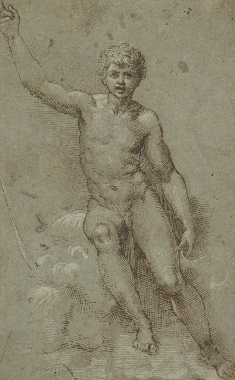 Vahşi Doğada Aziz John by Giovanni Francesco Penni
