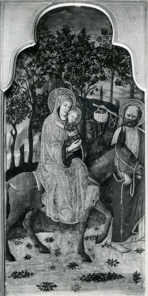 Bakire'nin Yaşam Döngüsü, Mısır'a Uçuş, c.1445 kavak panel üzerine yağlı boya bw photo by Giovanni Francesco da Rimini
