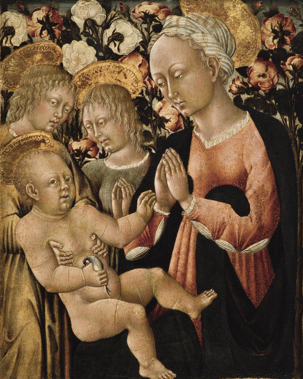 Madonna and Child with Angels, c.1475 (panelde mizaç) by Giovanni di Paolo