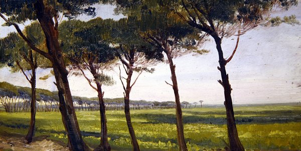 Bir Hat Eski Çam (panelde yağ) by Giovanni Costa