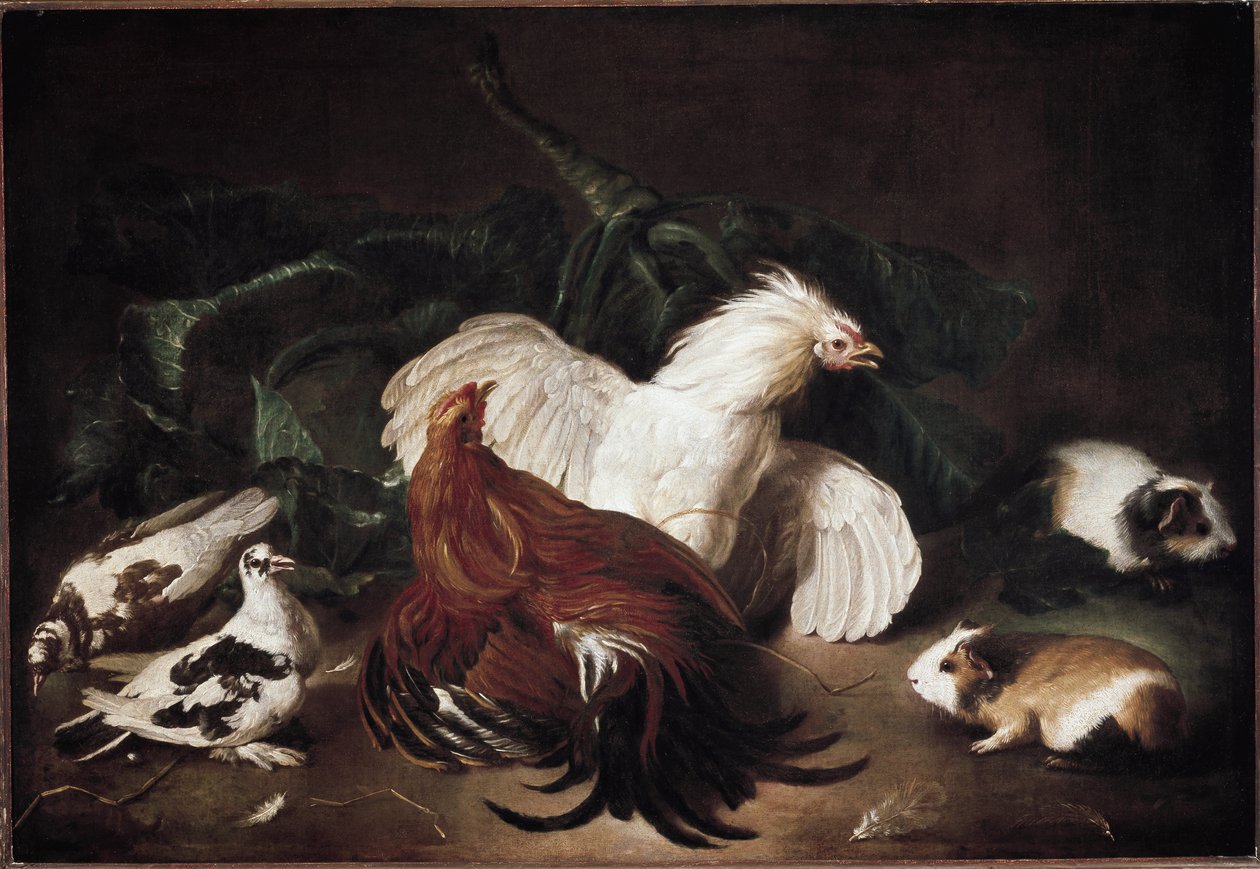 Hayvanlarla natürmort Tavuklar ve Hamsterler (tuval üzerine yağlı boya by Giovanni Agostino Cassana