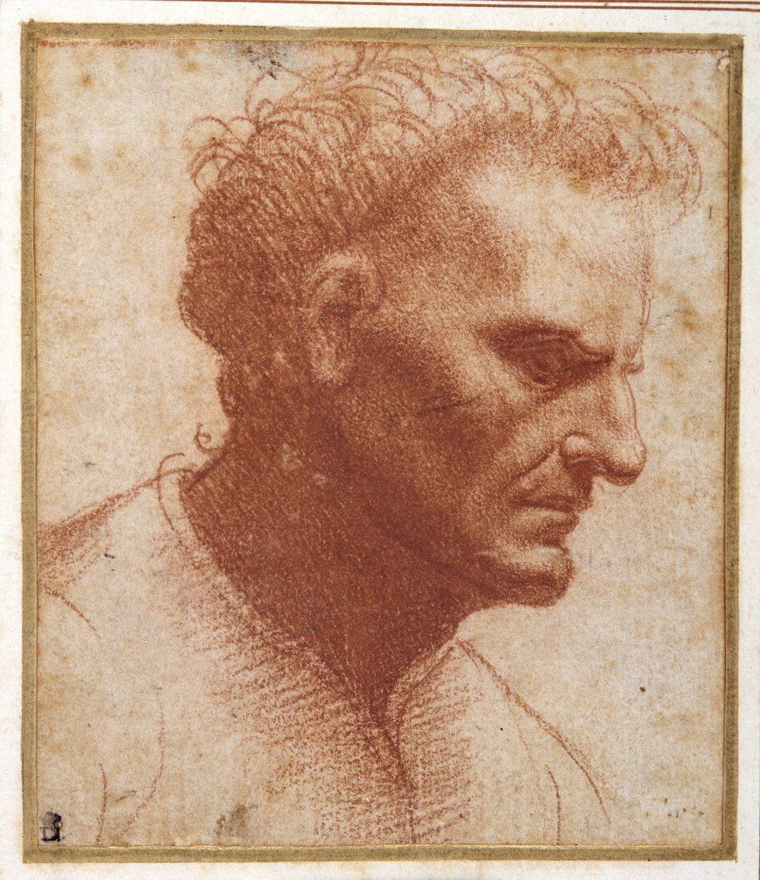 Aşağı bakan sakalsız bir adamın başı (kağıt üzerinde kırmızı tebeşir) by Giovanni Agostino da Lodi