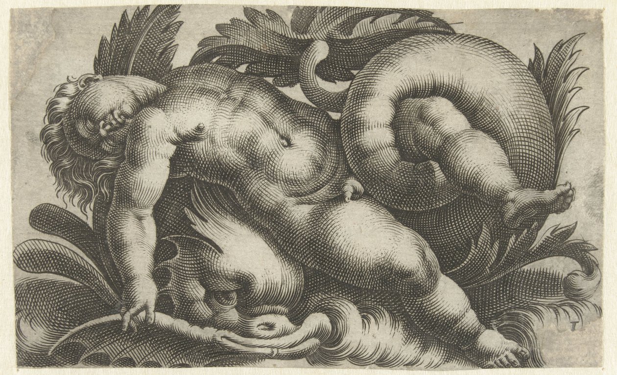 Yunus üzerinde uyku putto Putti deniz canlıları (dizi başlığı) by Giovanni Andrea Maglioli