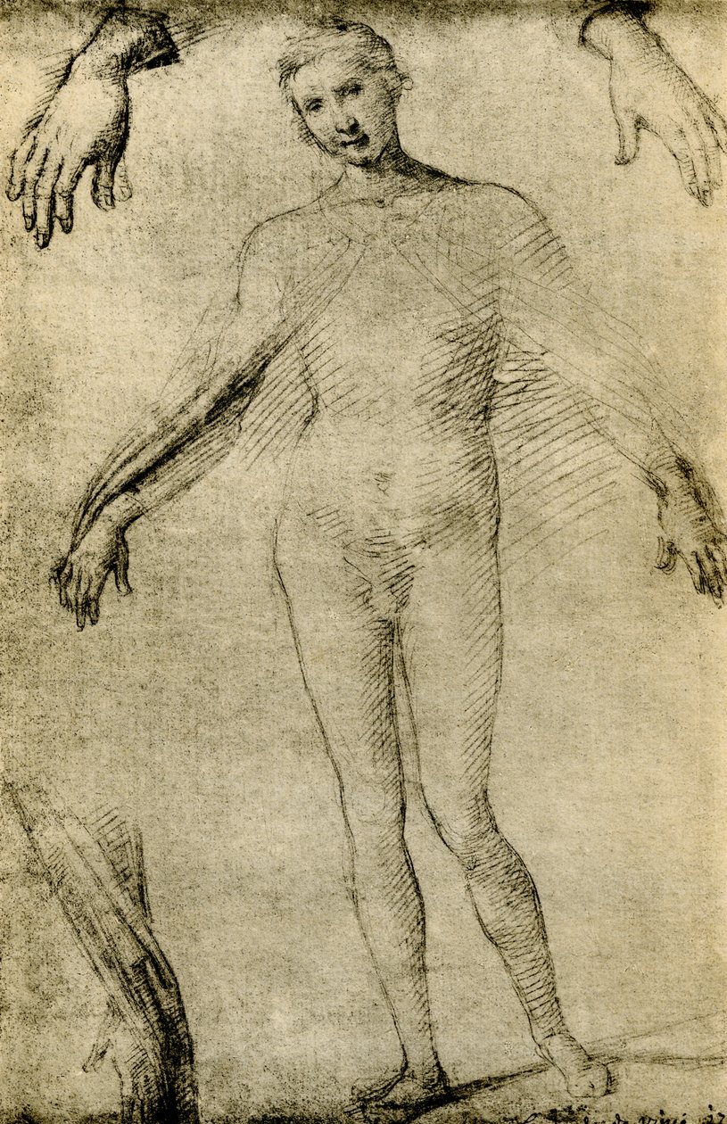 Ana misericordiae olarak bir Meryem Ana için Model Çalışması by Giovanni Antonio Bazzi Sodoma