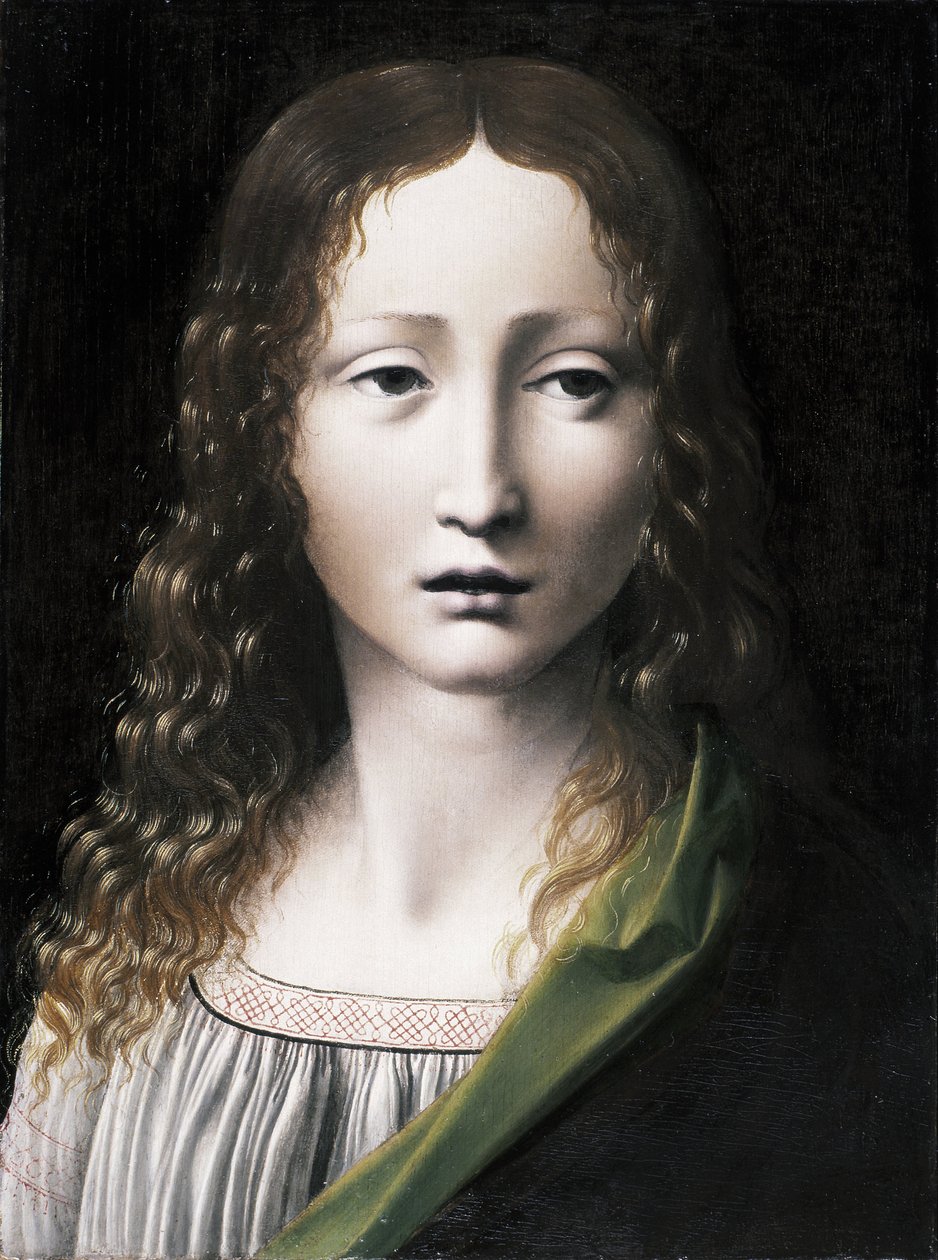 El Salvador Adolescente Ergen Kurtarıcı, 1490-1495 by Giovanni Antonio Boltraffio