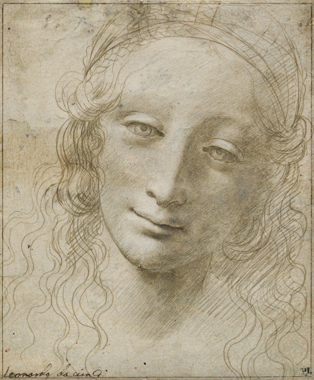 Bir Kadının Başı by Giovanni Antonio Boltraffio