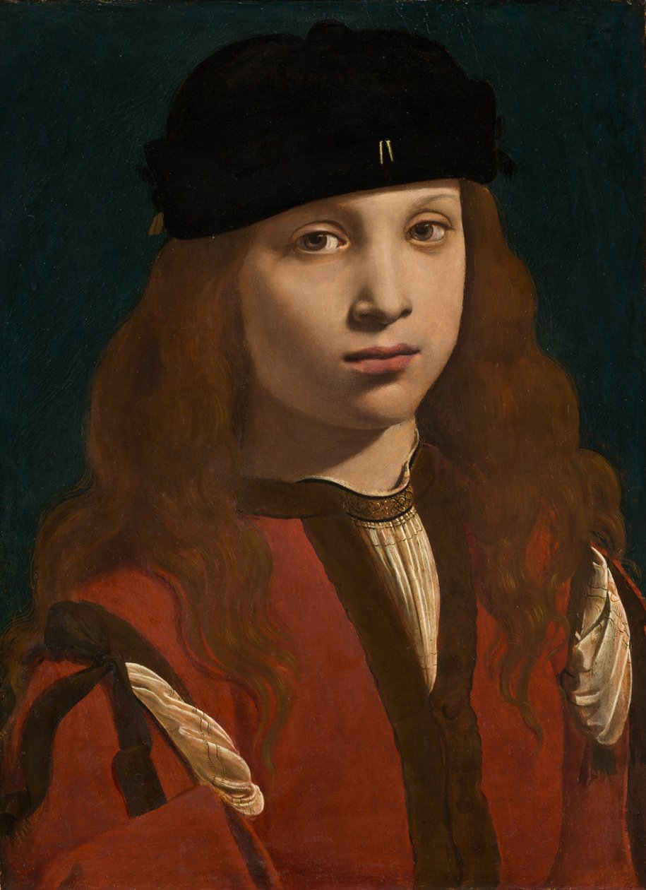 Bir Gençliğin Portresi, c. 14951498. by Giovanni Antonio Boltraffio