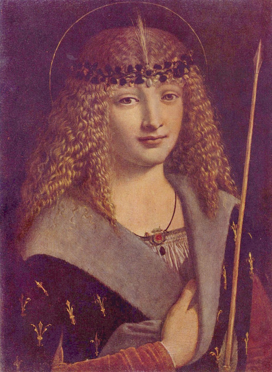  by Giovanni Antonio Boltraffio