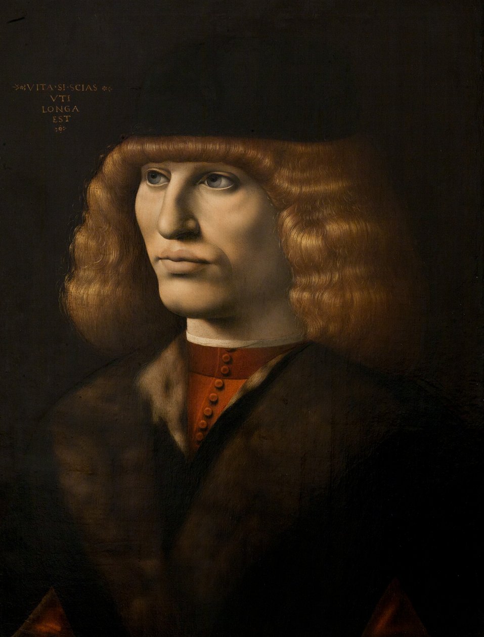 Genç bir adamın portresi, c.1500 (panelde yağlı boya) by Giovanni Antonio Boltraffio