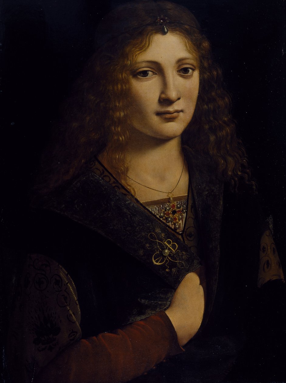 Genç bir adamın portresi, muhtemelen Girolamo Casio, c.1500 (ahşap panel üzerine yağlı boya) by Giovanni Antonio Boltraffio
