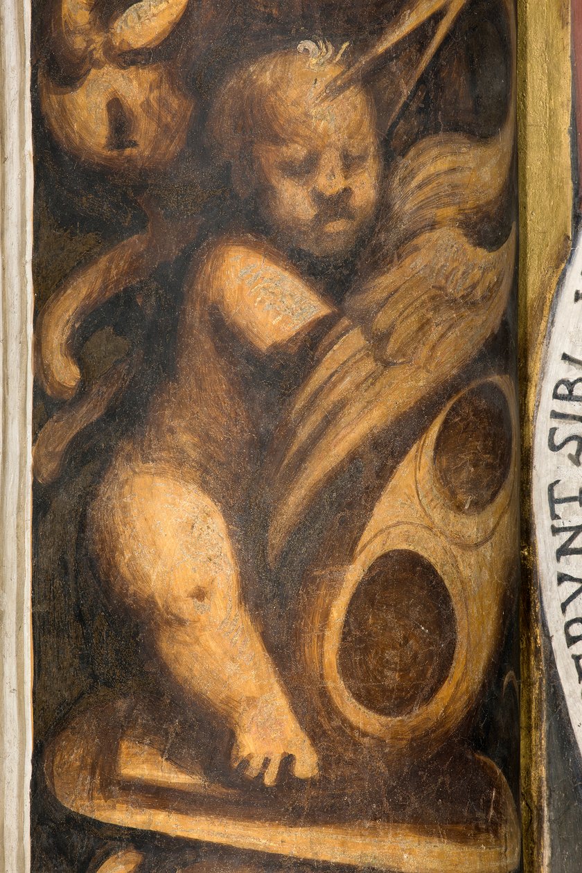 Central Ave, Lesena Başkentin Üst Kısmı Birinci ve İkinci Açıklık Güney, IL Pordenone, Putto, Detay by Giovanni Antonio Pordenone