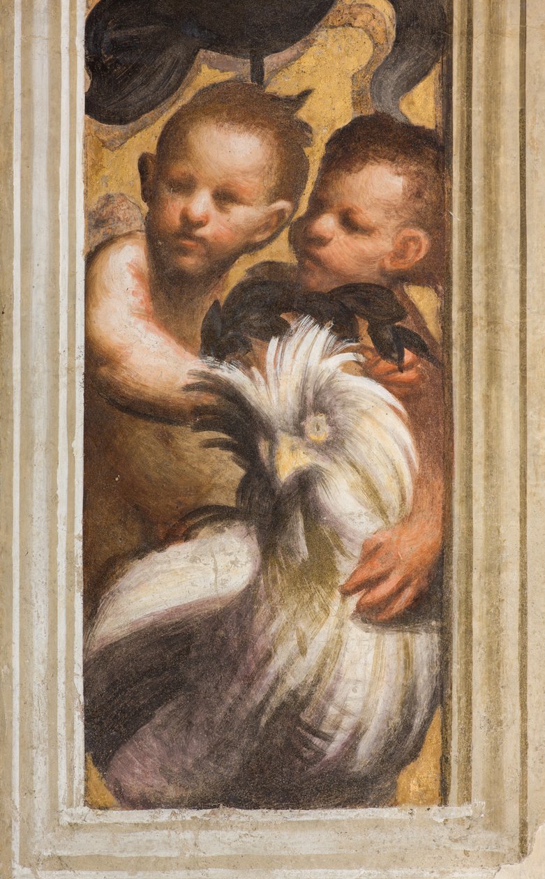 Central Ave, Lesena Başkentin Üst Kısmı Birinci ve İkinci Açıklık Güney, IL Pordenone, Puttini, Detay by Giovanni Antonio Pordenone