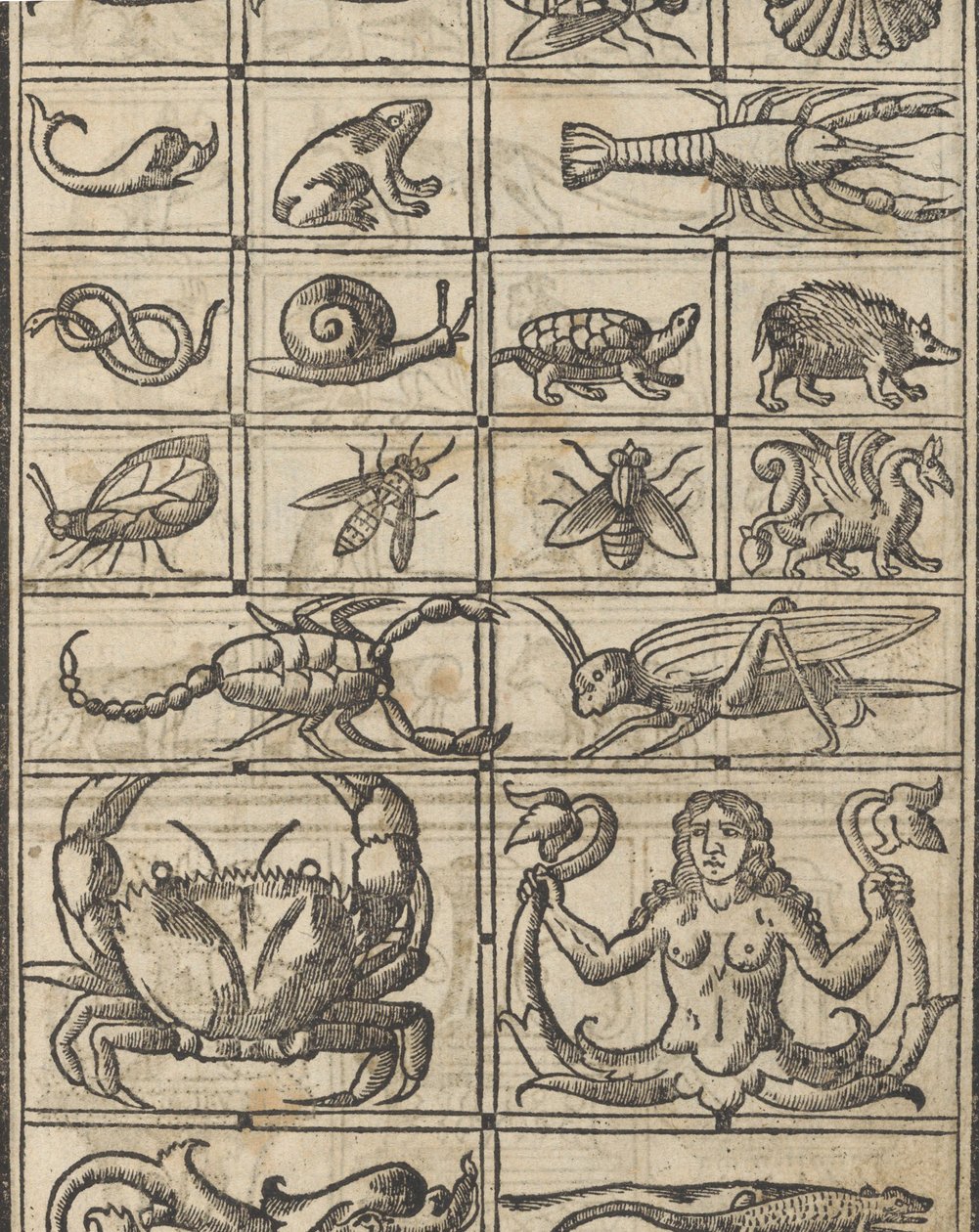 Recammi örneği, sayfa 11 recto, 1530. by Giovanni Antonio Tagliente