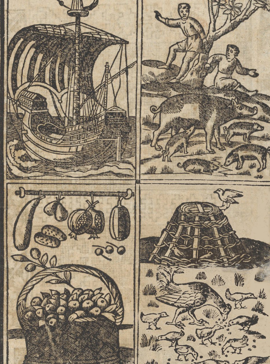 Recammi örneği, sayfa 9 recto, 1530. by Giovanni Antonio Tagliente