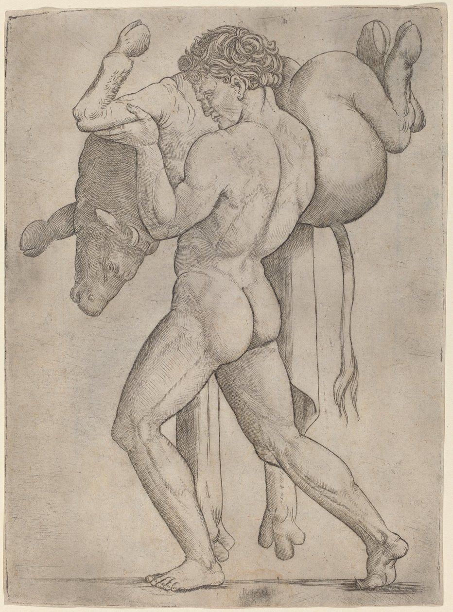 Herkül ve Girit Boğası by Giovanni Antonio da Brescia