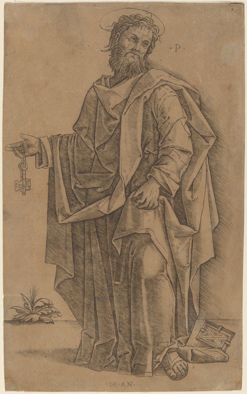 Aziz Peter by Giovanni Antonio da Brescia