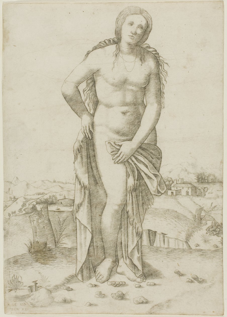 Venüs by Giovanni Antonio da Brescia