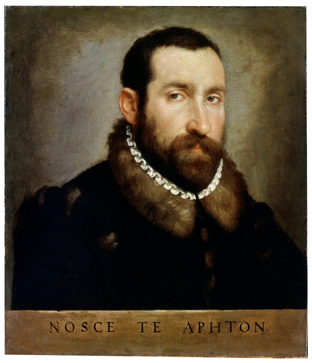Bir Adamın Portresi, 1560