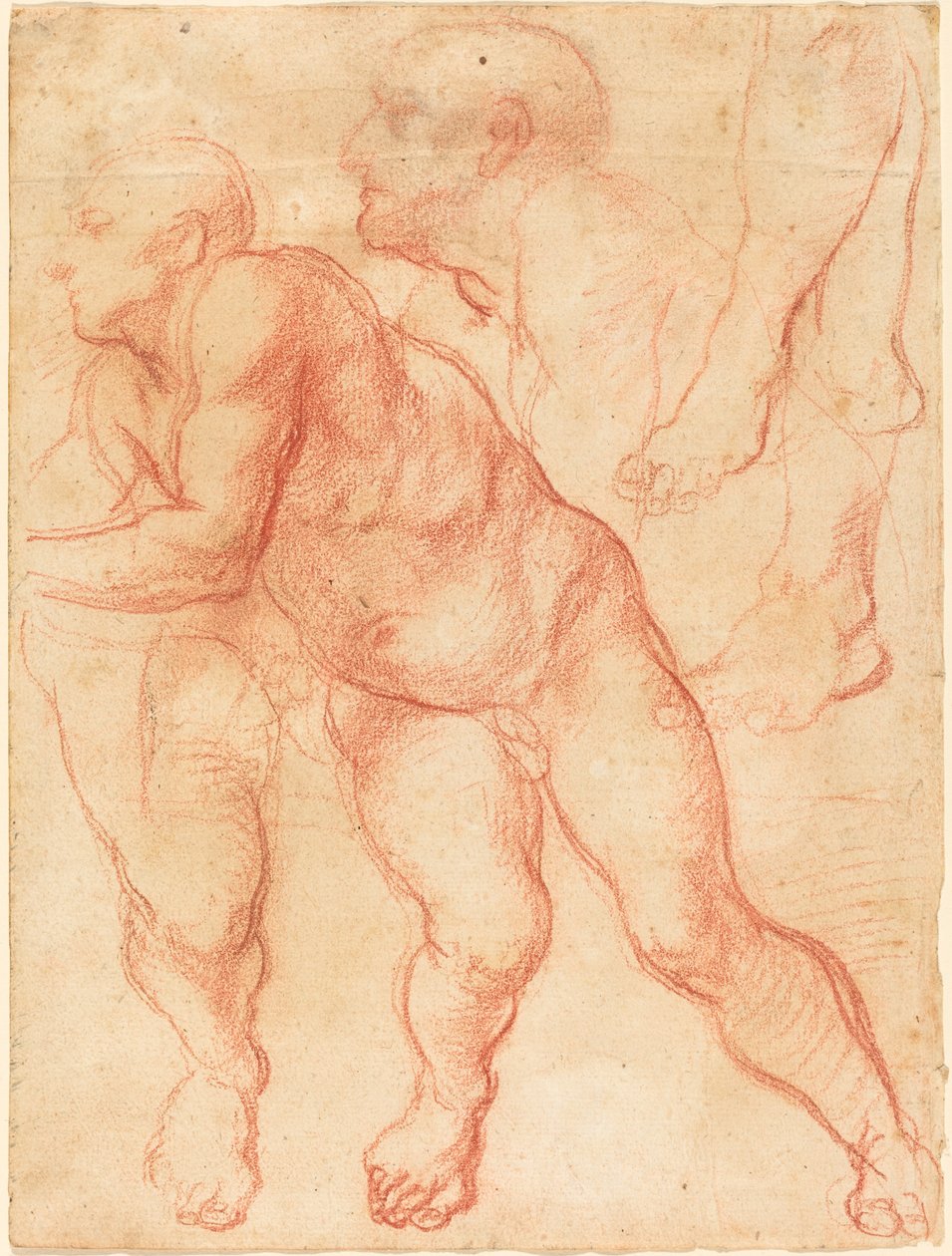 Bir Erkek Çıplak Çalışmaları by Giovanni Battista Naldini