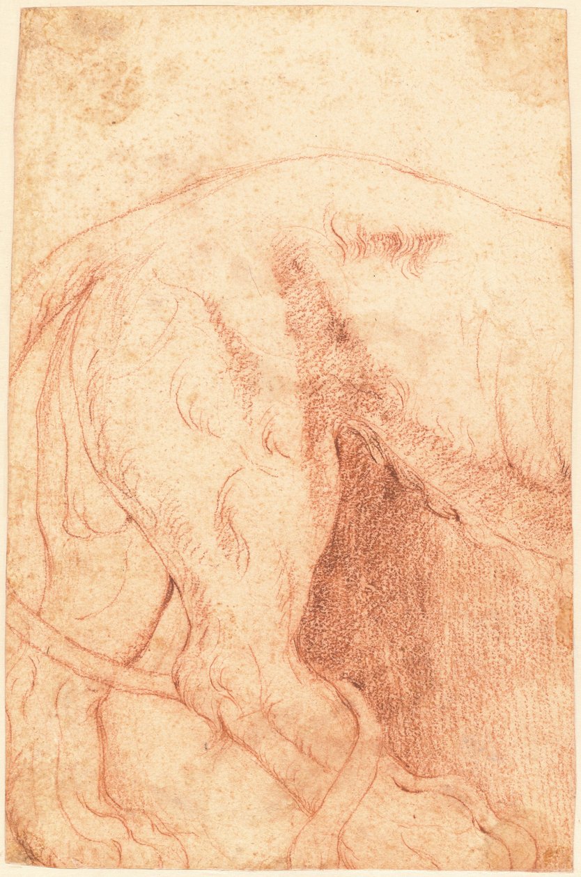 Aslan Kabartma Parçası (ters) by Giovanni Battista Piranesi
